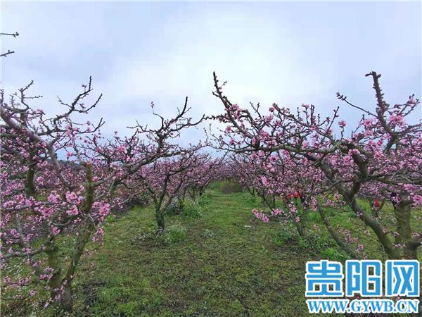 贵阳好玩的景点_新乡有哪些景点比较好玩,有漂流_深圳好玩景点