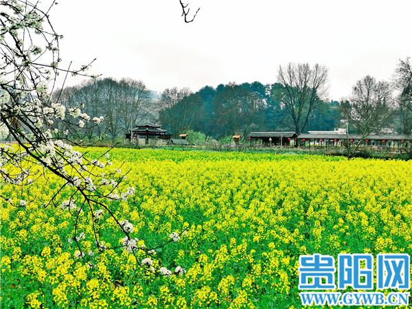 新乡有哪些景点比较好玩,有漂流_贵阳好玩的景点_深圳好玩景点