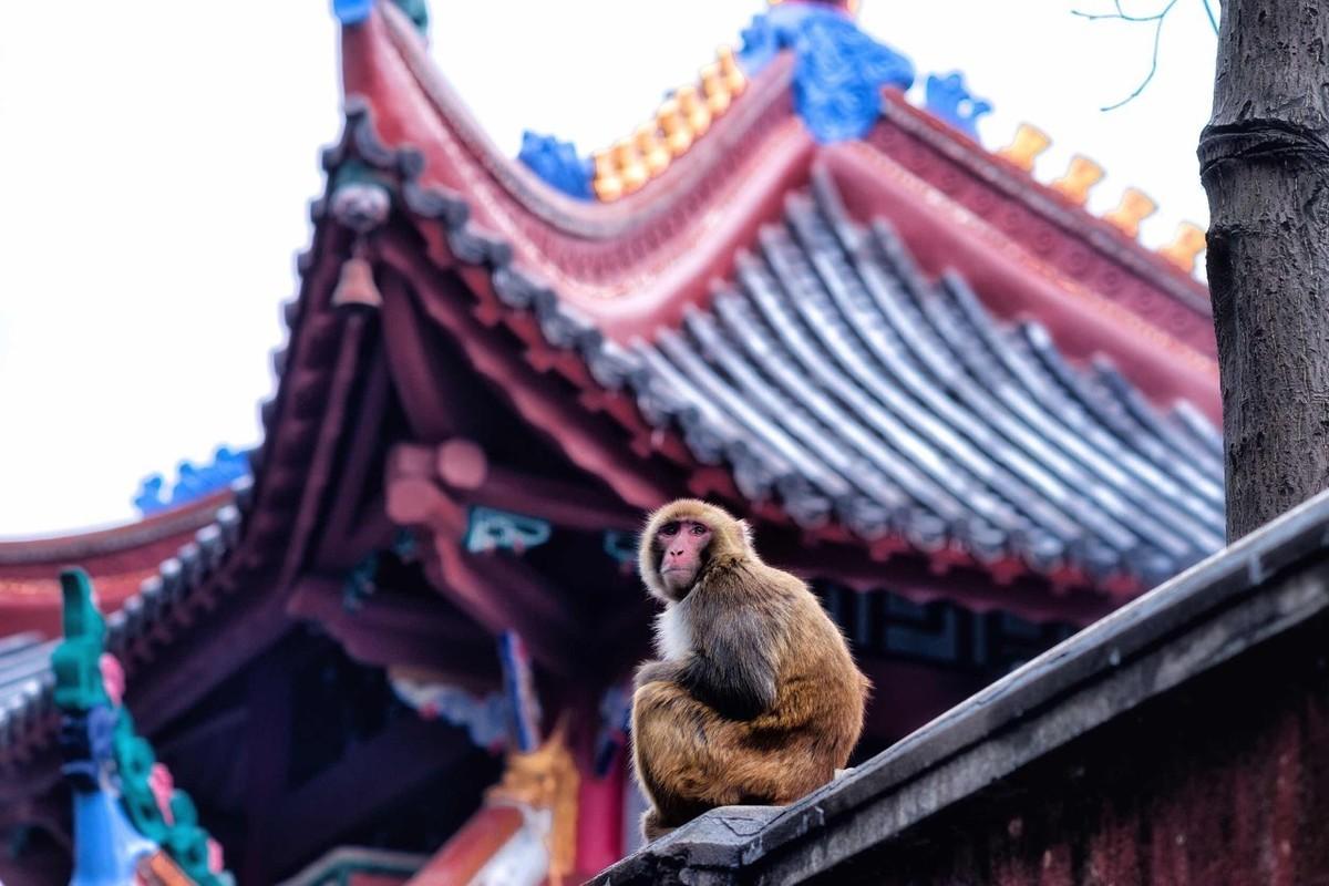 贵阳好玩的景点_恩施好玩景点_贵阳附近好玩的地方 景点