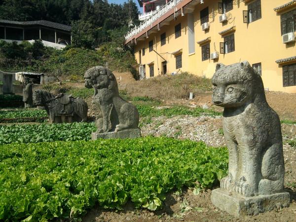 英西峰林走廊旅游攻略_西九华山旅游攻略_上海到西天目山旅游攻略