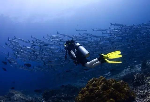 新马波德申旅游攻略_波德申旅游攻略_吉隆坡 波德申