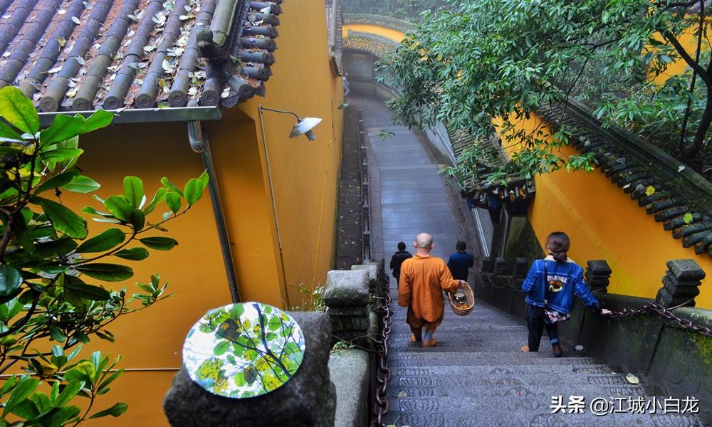 西天目山旅游攻略_上海到西天目山旅游攻略_西九华山旅游攻略