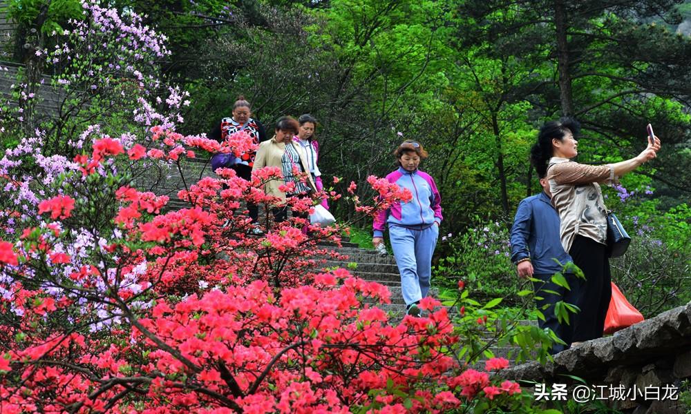 西天目山旅游攻略_西九华山旅游攻略_上海到西天目山旅游攻略