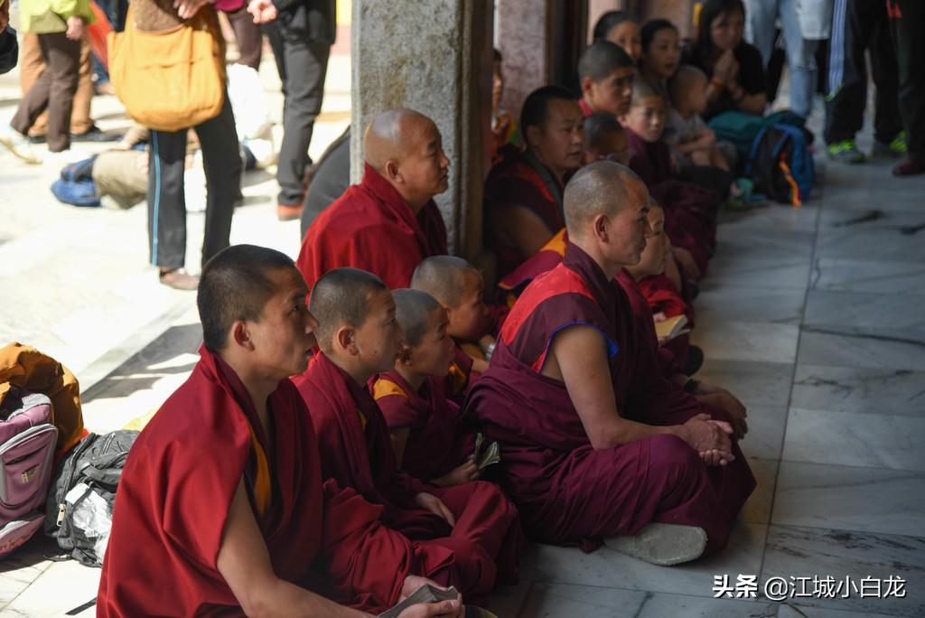 上海到西天目山旅游攻略_西九华山旅游攻略_西天目山旅游攻略