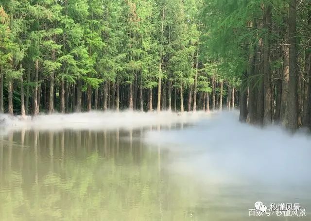 陆河有哪个地方好玩_上海周边自驾游哪些地方好玩_上海哪有好玩的地方