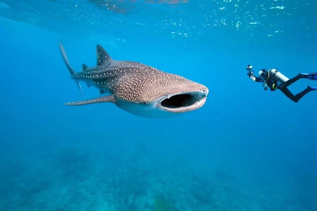 推荐海岛旅游_国外海岛游推荐_去国外海岛旅游推荐