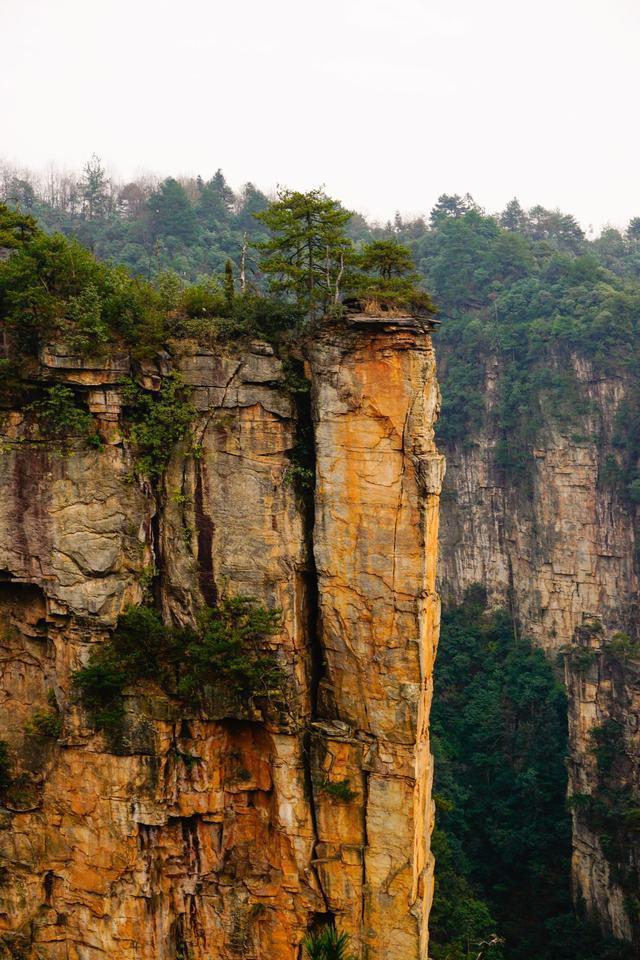 张家界武陵源_张家界武陵源旅游攻略_武陵源风景名胜区旅游攻略