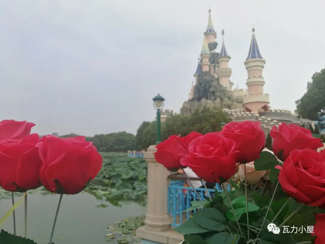 芜湖攻略南京旅游到哪里_南京到芜湖旅游攻略_芜湖去南京玩攻略