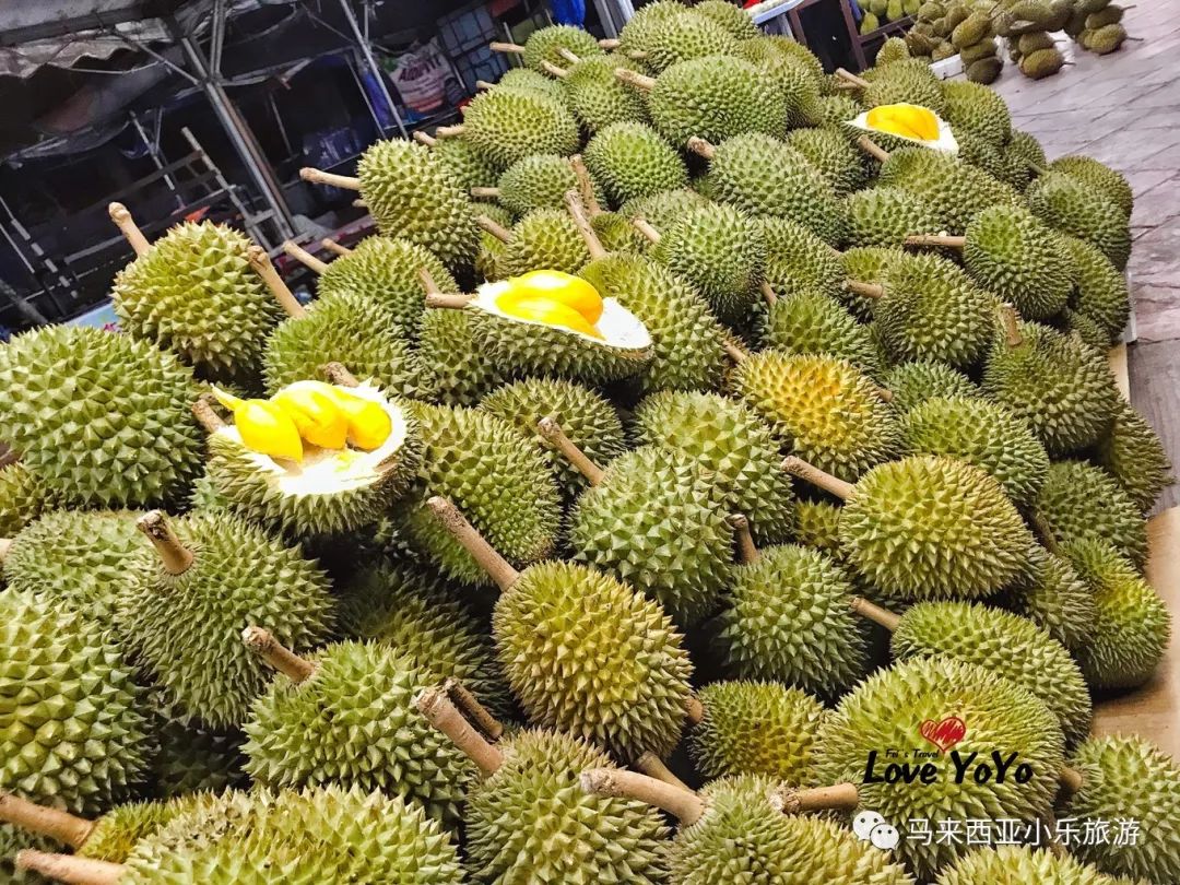 马蜂窝旅游路线_马蜂窝旅游地址_嵊泗列岛旅游攻略 马蜂窝