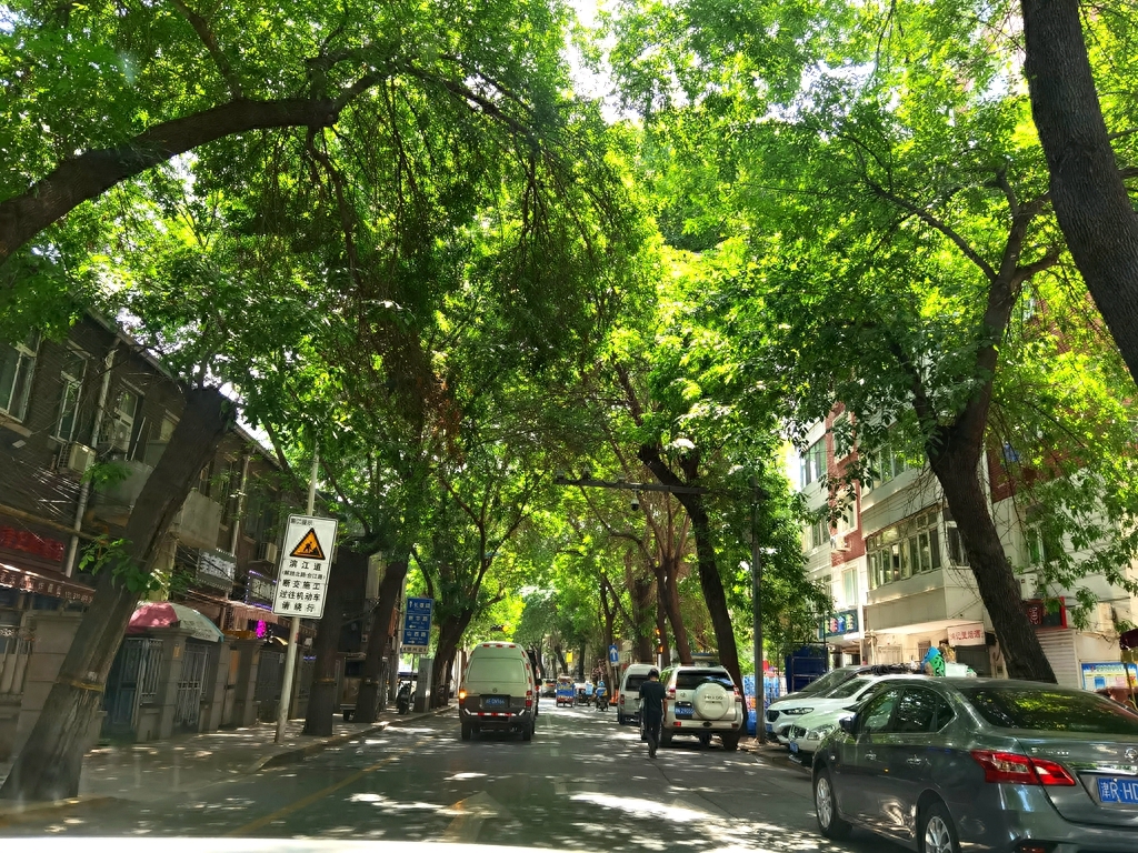 天津最好玩的景点_天津好玩的景点_天津好玩的旅游景点排行