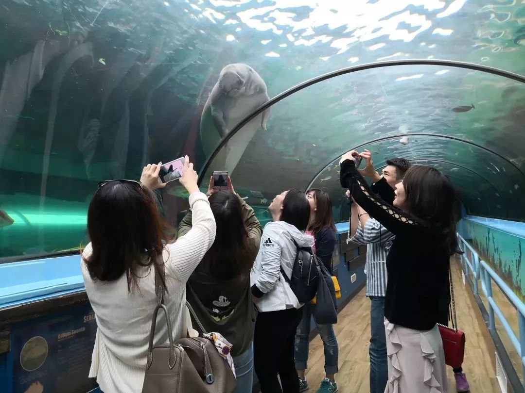 悉尼攻略旅游的地方_悉尼旅游攻略_悉尼攻略游记