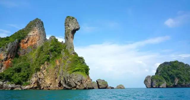 甲米红树林游玩攻略_红树林度假_红树林旅游度假区