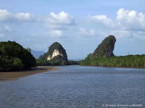 红树林旅游度假区_甲米红树林游玩攻略_红树林度假