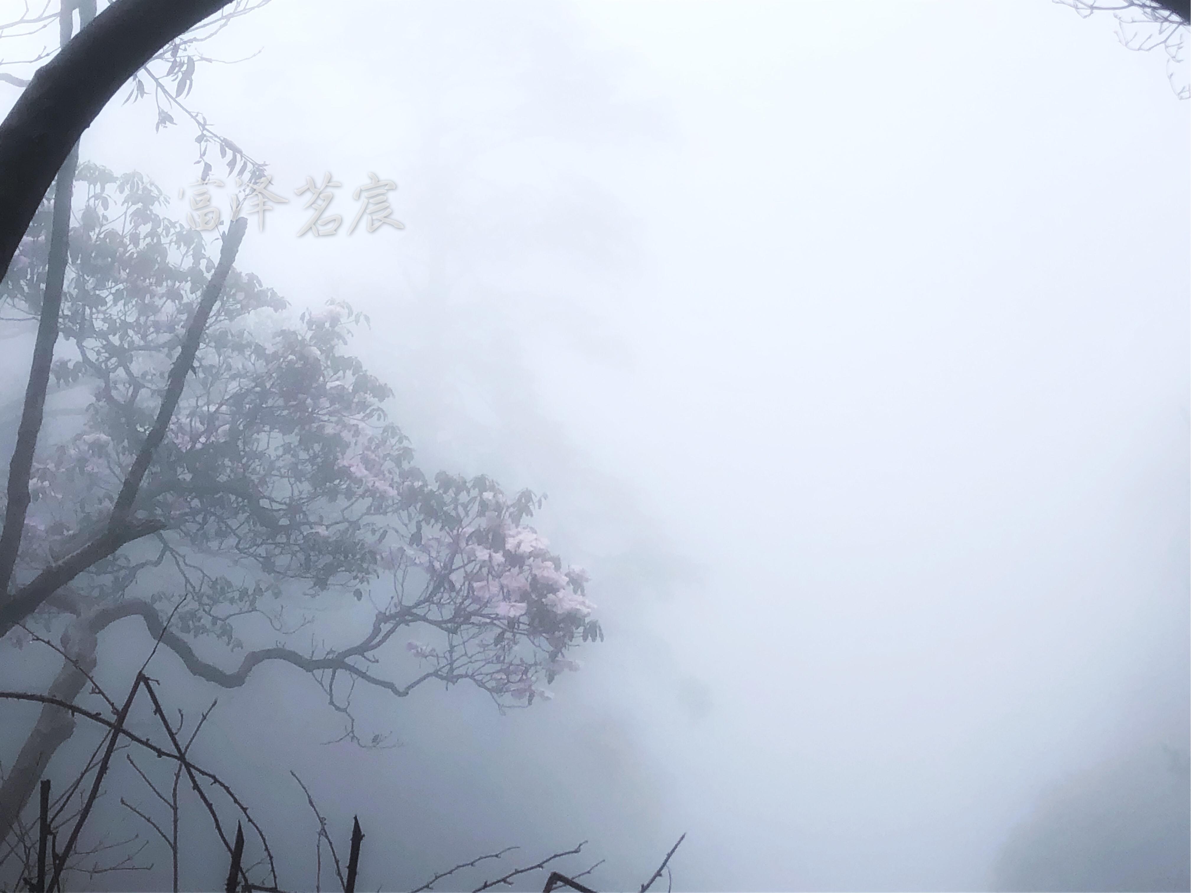 峨眉山冬季一日游攻略_峨眉山旅游攻略冬季_冬季峨眉山旅游攻略及费用