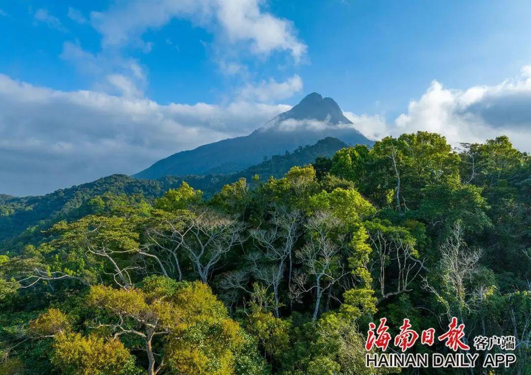 海口好玩的景点_海口好的景点_海口好玩的旅游景点