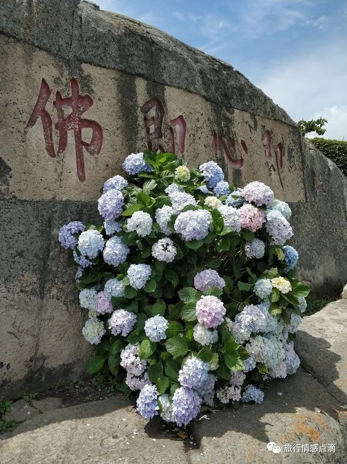 金华去普陀山二日游多少钱_金华攻略普陀旅游山去哪里好玩_金华去普陀山旅游攻略