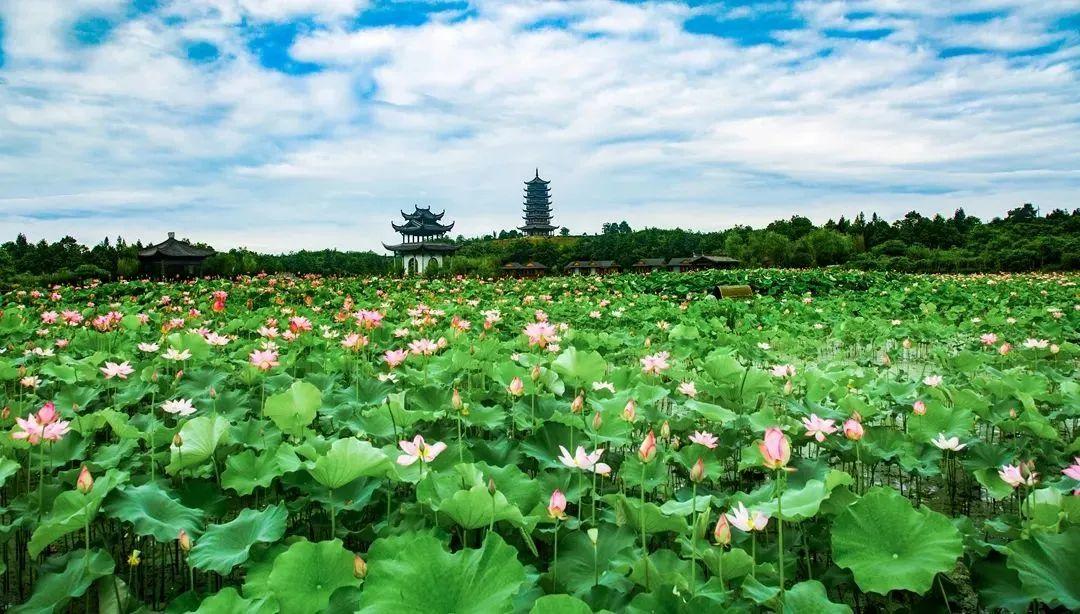 婺源旅游攻略11月_2021年婺源旅游_5月婺源必去的三个景点