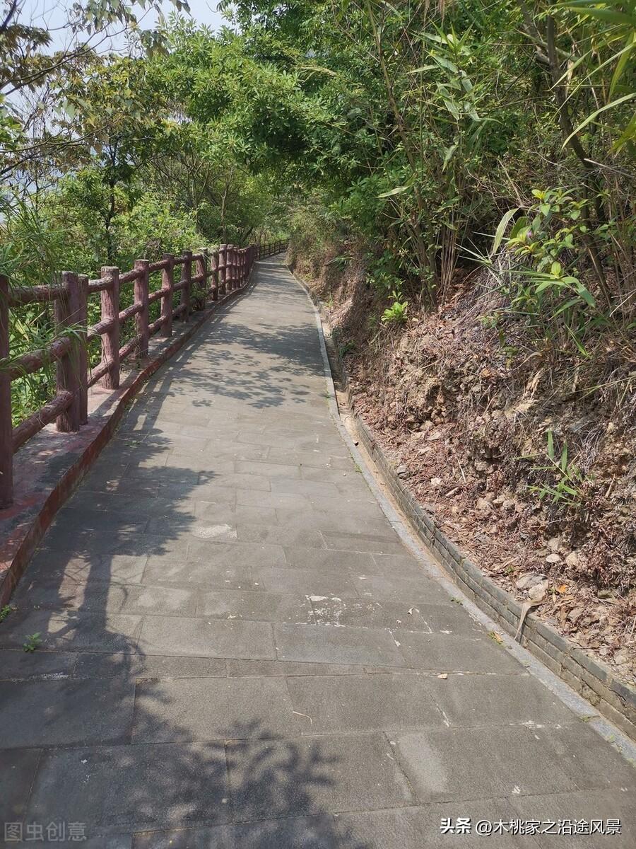 好玩景点肇庆免费的地方_肇庆好玩的免费景点_肇庆旅游景点免费