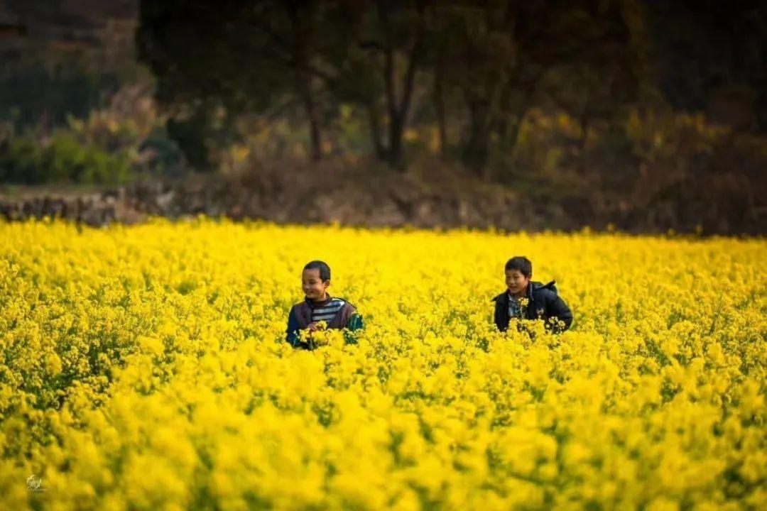 好玩景点漳州有几个_漳州有什么好玩的景点_好玩景点漳州有哪些地方