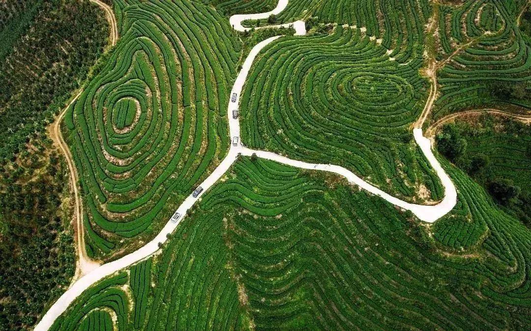 好玩景点漳州有哪些地方_漳州有什么好玩的景点_好玩景点漳州有几个