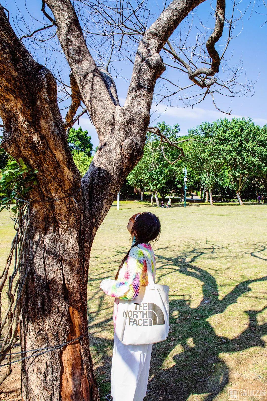 深圳市好玩的景点 新的一年，窗妹踩过的坑！你们千万、一定、绝对别再踩！