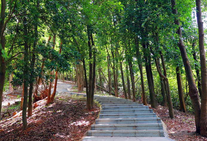 深圳好玩的景点排名榜旅游攻略_深圳必玩景点排名_深圳市好玩的景点