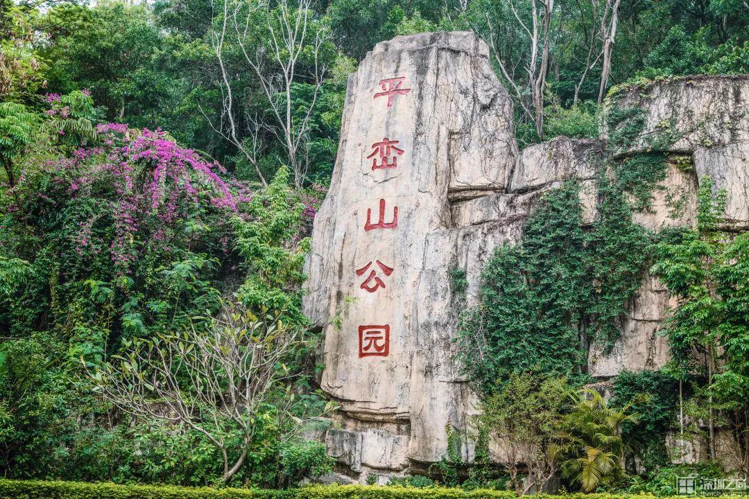 深圳必玩景点排名_深圳市好玩的景点_深圳好玩的景点排名榜旅游攻略