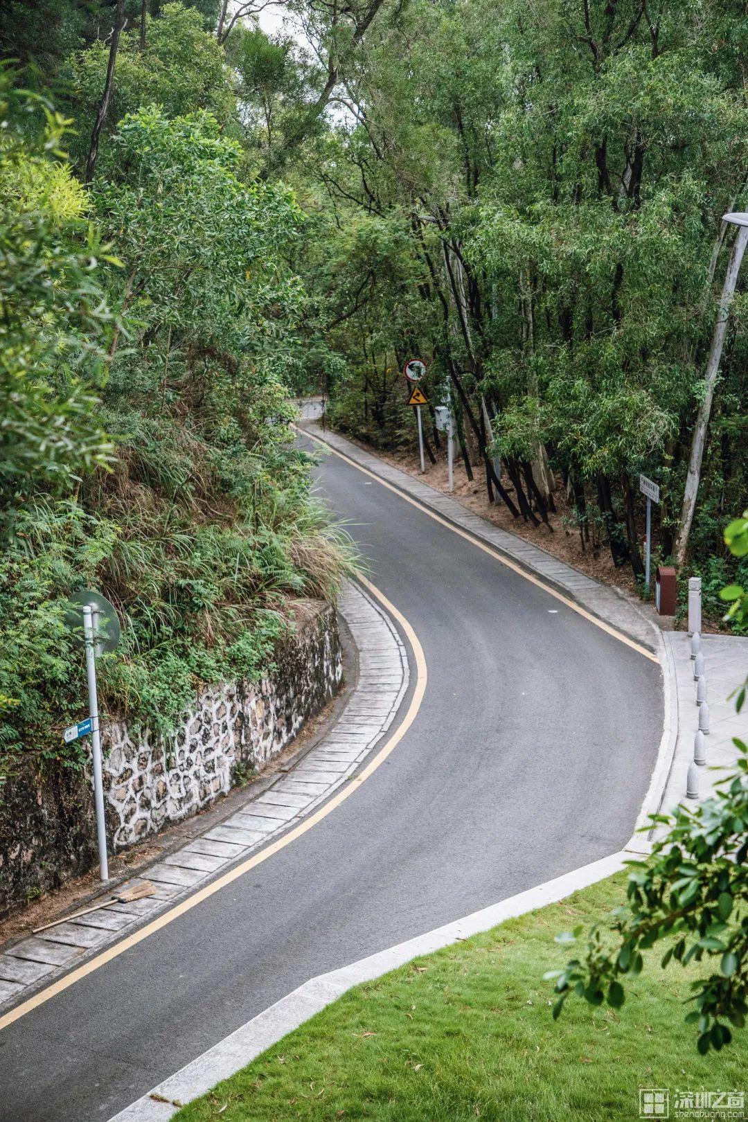 深圳好玩的景点排名榜旅游攻略_深圳必玩景点排名_深圳市好玩的景点