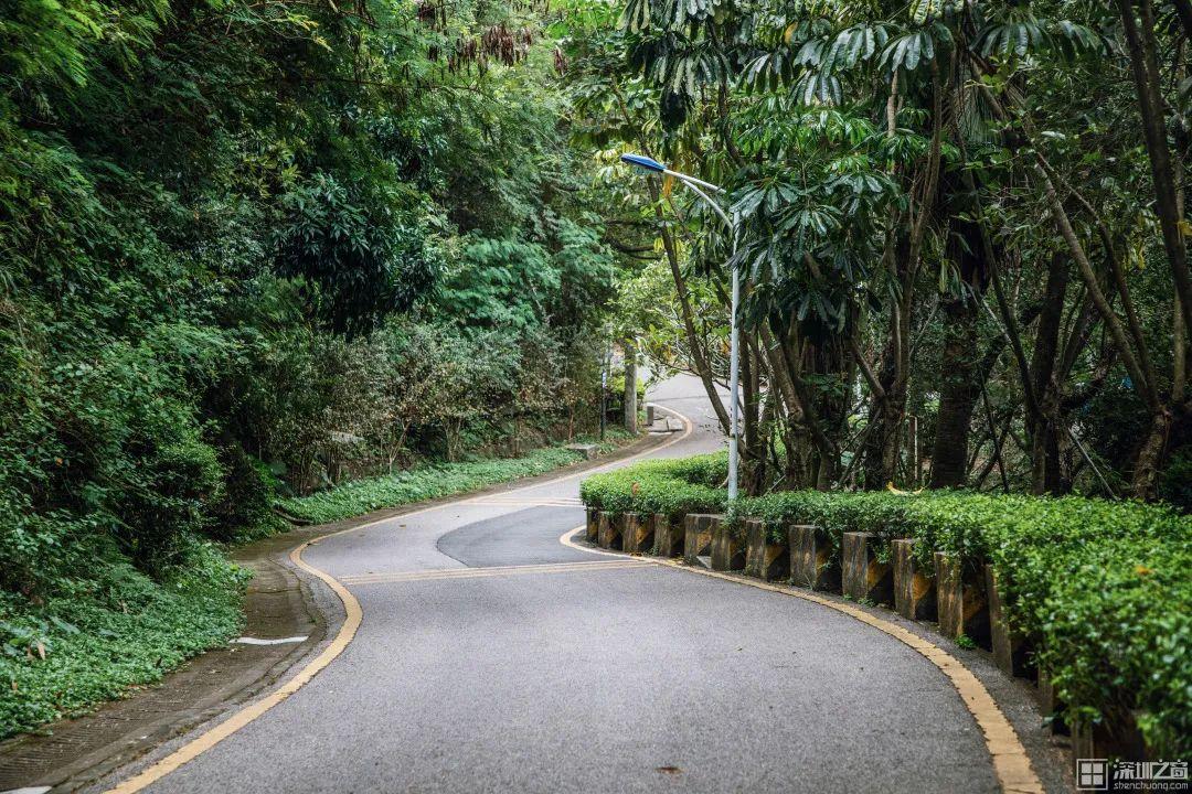 深圳必玩景点排名_深圳好玩的景点排名榜旅游攻略_深圳市好玩的景点