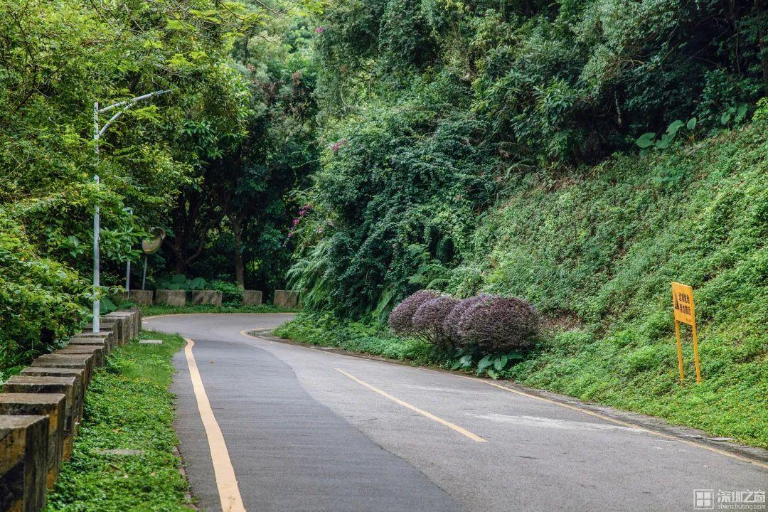 深圳好玩的景点排名榜旅游攻略_深圳必玩景点排名_深圳市好玩的景点