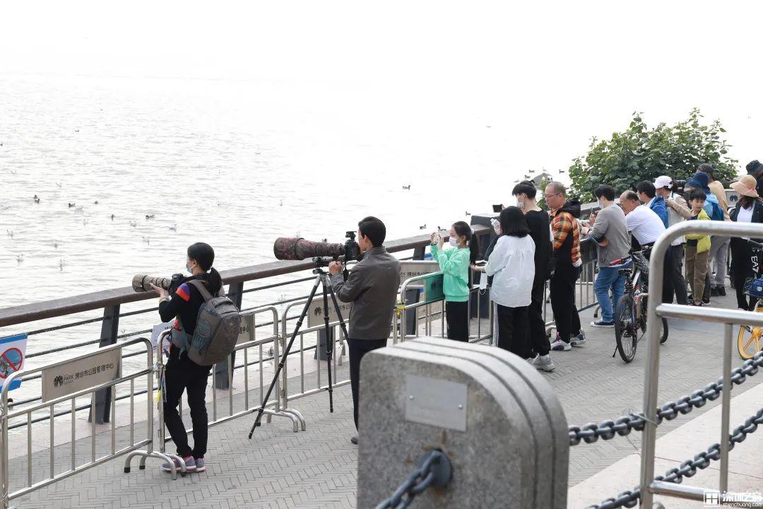 深圳市好玩的景点_深圳好玩的景点排名榜旅游攻略_深圳必玩景点排名