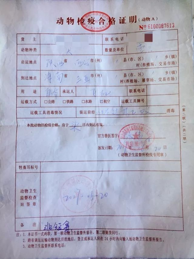 带父母出国去哪里旅游好_带狗出国旅游需要什么手续_出国留学中介有何手续