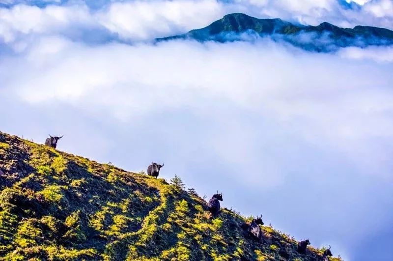 丹霞山旅游攻略同程旅游_新龙旅游攻略_旅游攻略旅游自助游攻略