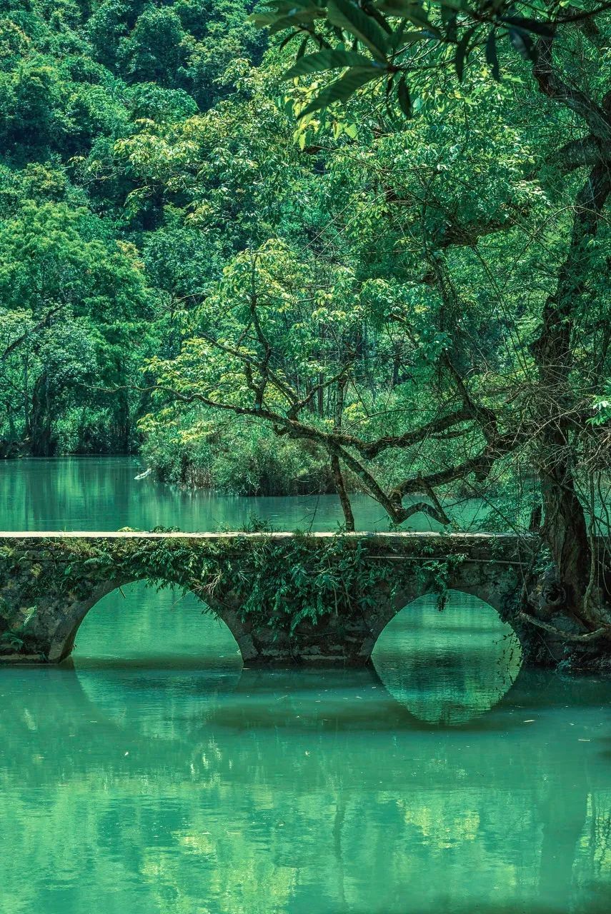 丹霞山旅游攻略同程旅游_新龙旅游攻略_旅游攻略旅游自助游攻略