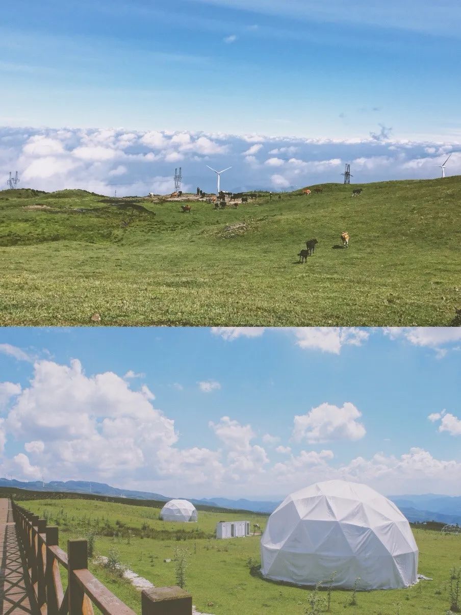 丹霞山旅游攻略同程旅游_新龙旅游攻略_旅游攻略旅游自助游攻略