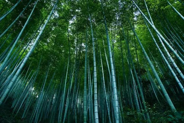 春节兰州好玩景点_南丰好玩的景点_玉林好玩景点