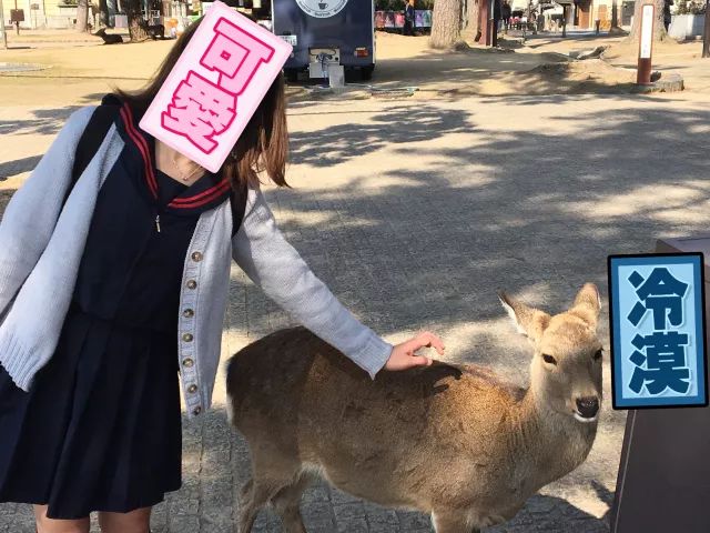 梵净山一天游玩攻略_京都一天游玩攻略_澳门一天游玩攻略