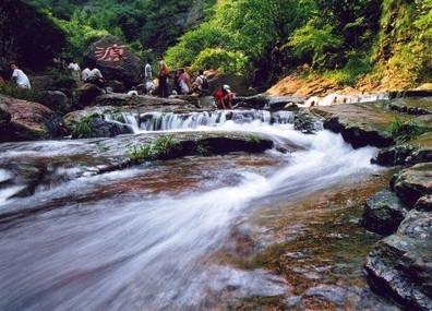 桐庐荻浦花海门票_桐庐荻浦村花海照片_桐庐荻浦花海旅游攻略