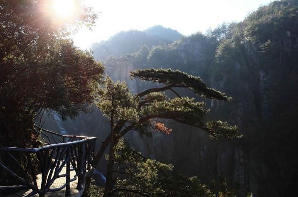 桐庐荻浦村花海照片_桐庐荻浦花海门票_桐庐荻浦花海旅游攻略