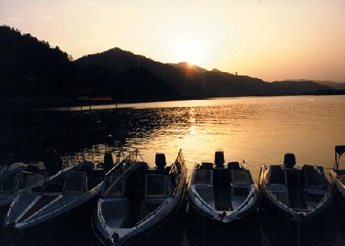 桐庐荻浦村花海照片_桐庐荻浦花海旅游攻略_桐庐荻浦花海门票