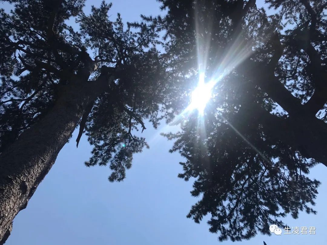 圣莲山景区门票_圣莲山旅游攻略_圣莲山登山步道