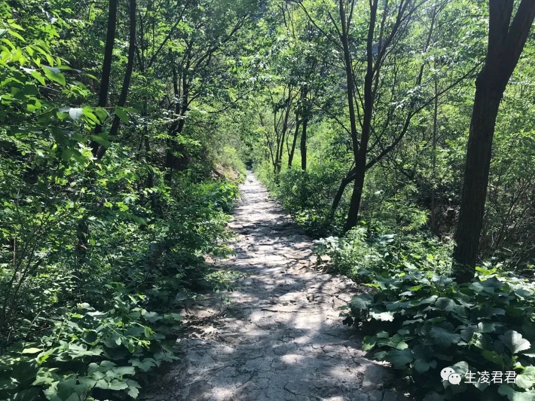 圣莲山景区门票_圣莲山登山步道_圣莲山旅游攻略