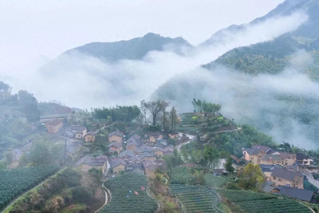 丽水神龙谷旅游攻略_炎陵神龙谷旅游_遂昌神龙谷游玩攻略