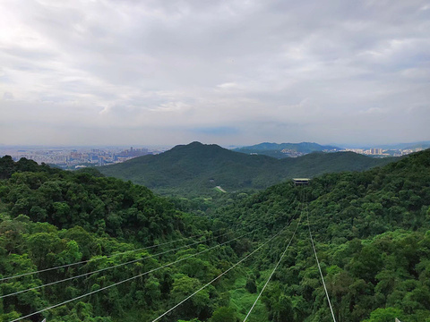 天门山+天门狐山旅游攻略_河南白云山旅游攻略_神雕山野生动物园旅游攻略