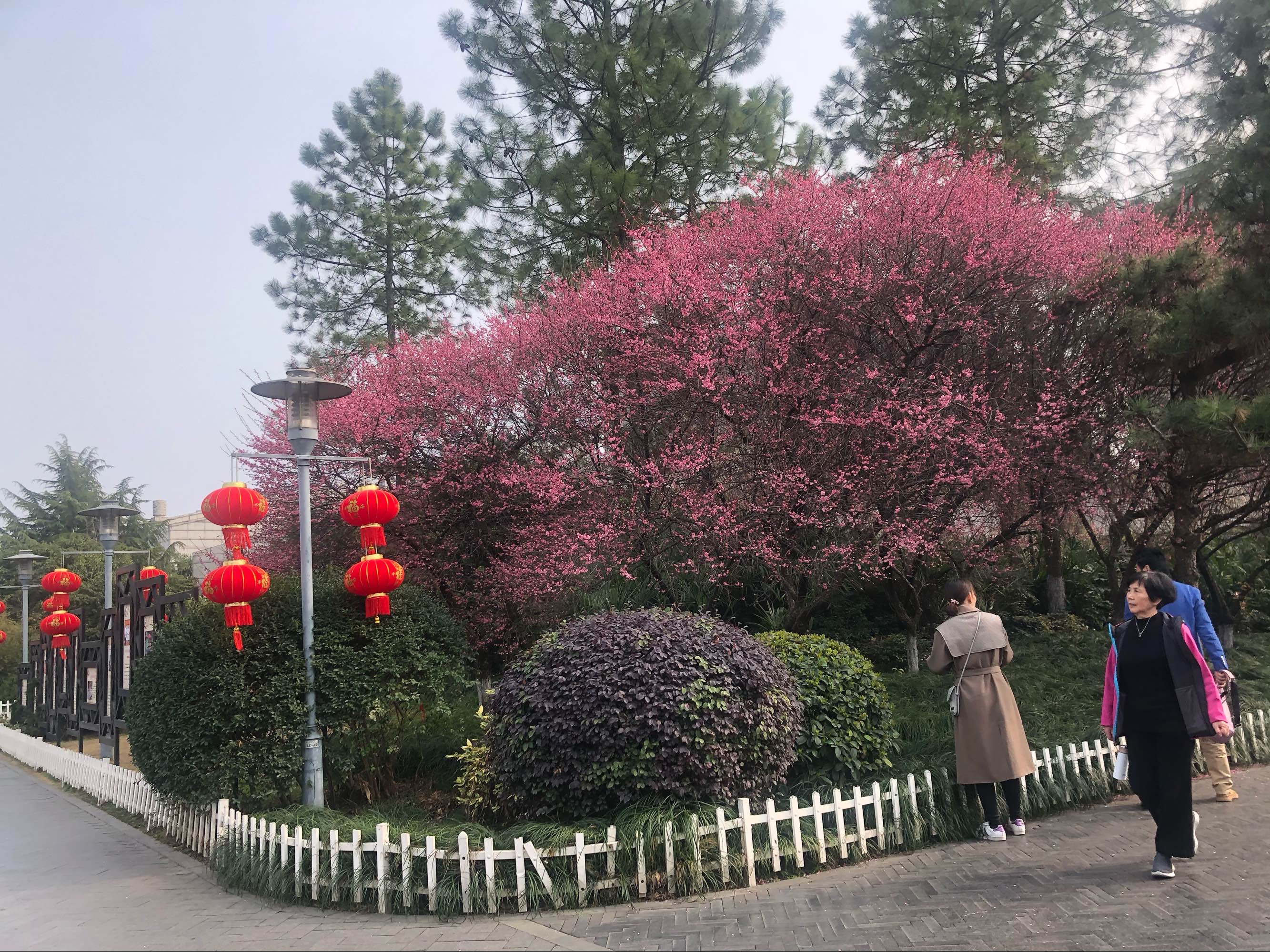 杭州余杭附近景区_余杭区附近好玩的景点_余杭附近旅游景区哪里好玩