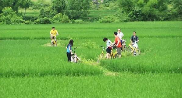 桂林漓江旅游攻略_桂林漓江游玩攻略_桂林攻略漓江旅游线路