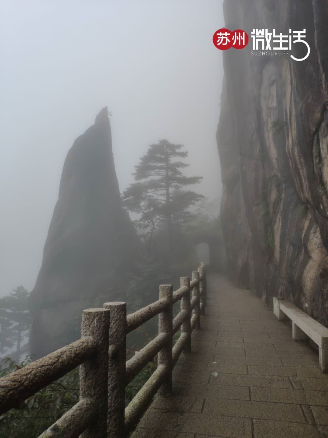 黄山西递宏村哪个好玩_宏村西递黄山三日游_黄山宏村西递旅游攻略