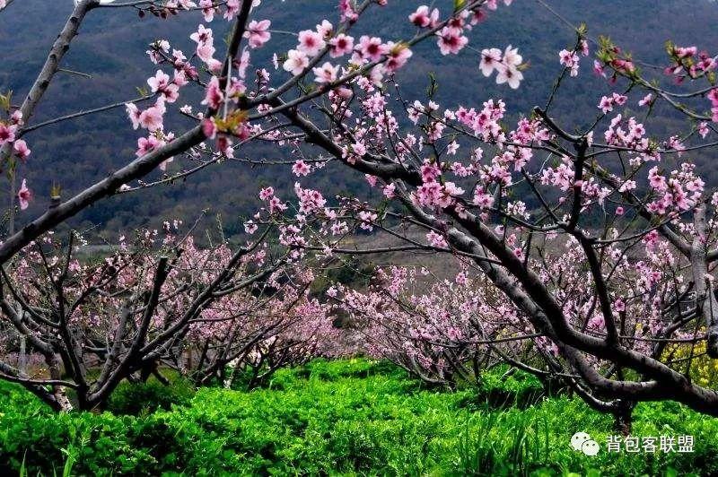 东极岛旅游费用_东极岛旅游攻略 十九楼_东极岛好玩的