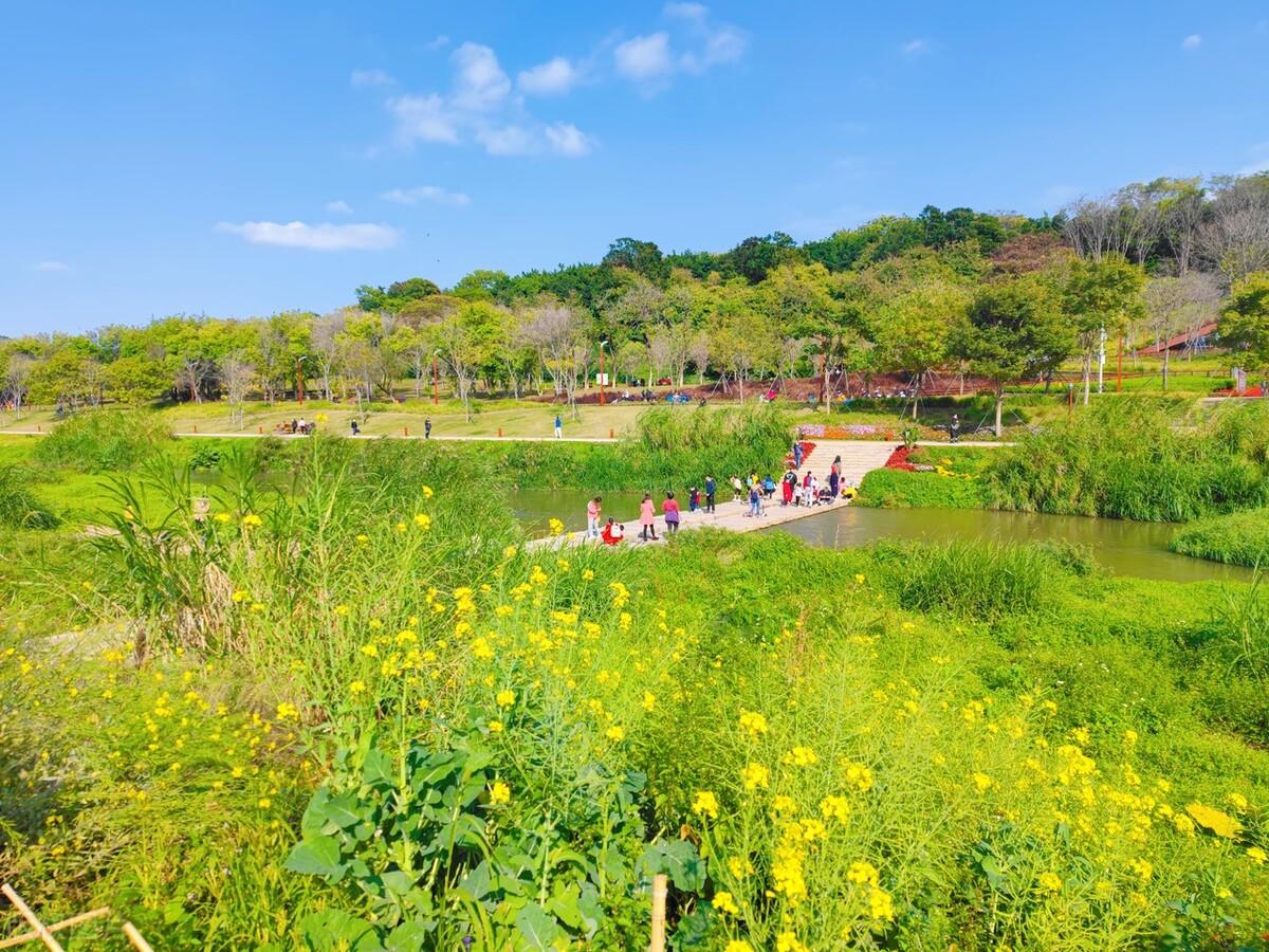 深圳好玩的景点排名榜旅游攻略_深圳市好玩的景点_深圳必玩景点排名