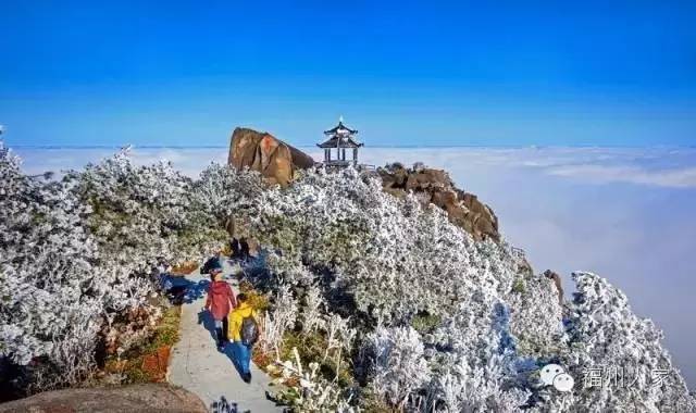 漳州到白水洋旅游攻略_漳州到白水洋旅游团_龙岩去白水洋旅游攻略